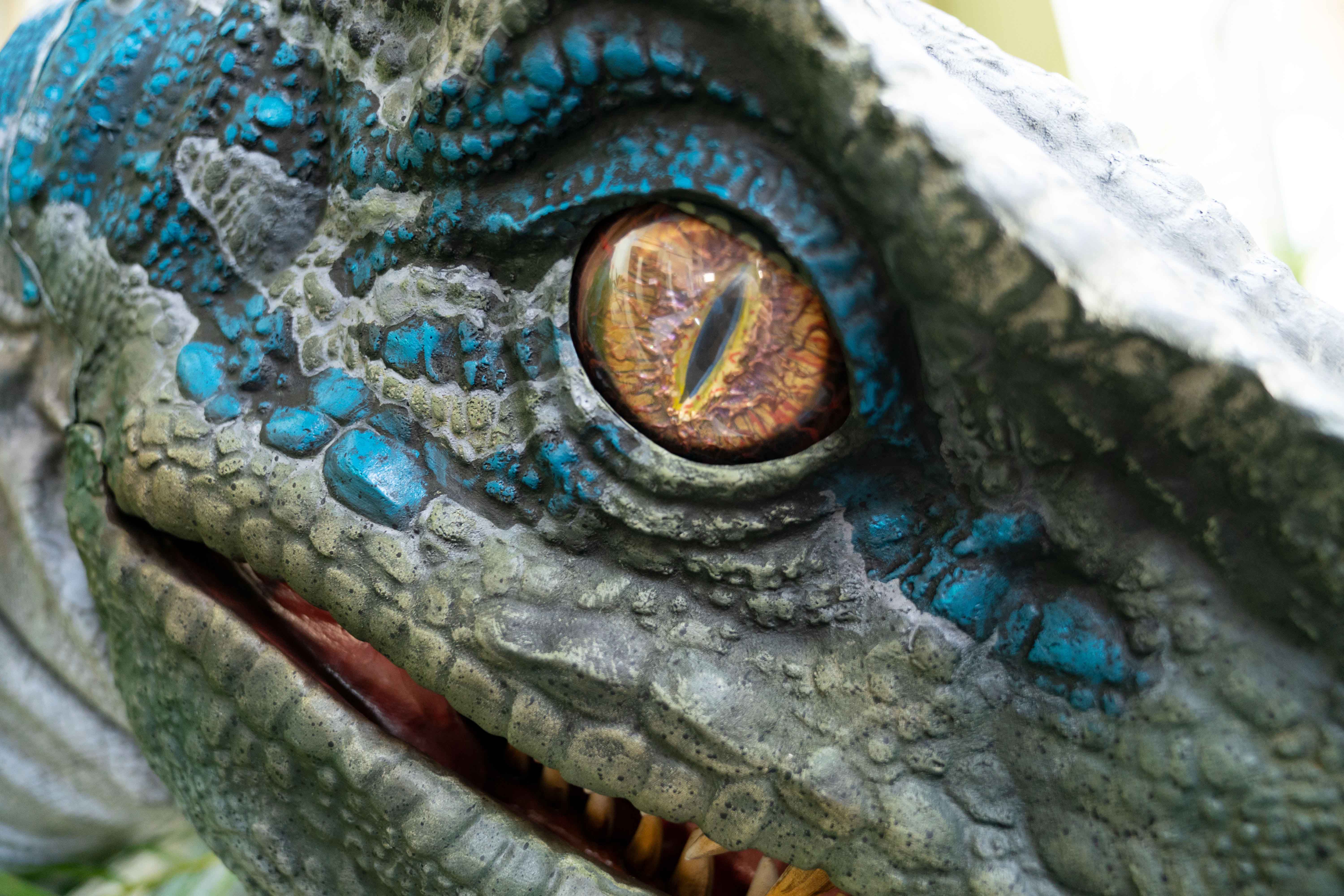 Blue Raptor Universal Blue, the Velociraptor from Universal Pictures and Amblin Entertainment ...