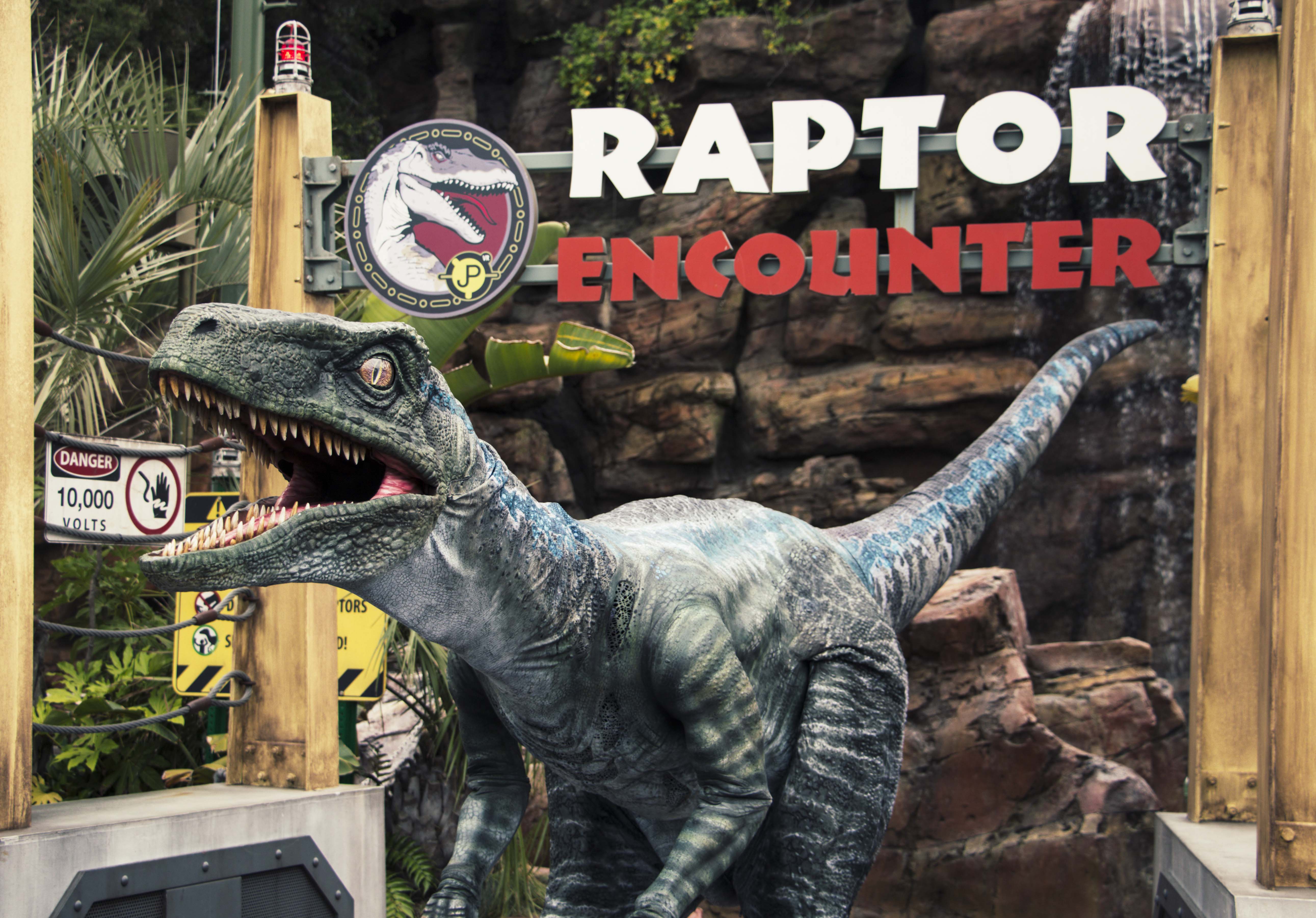 Blue at Raptor Encounter - Universal Studios